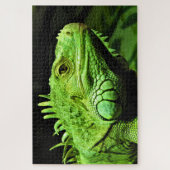 Green Iguana Legpuzzel (Verticaal)