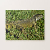Green Iguana Lizard in Grass Legpuzzel (Horizontaal)