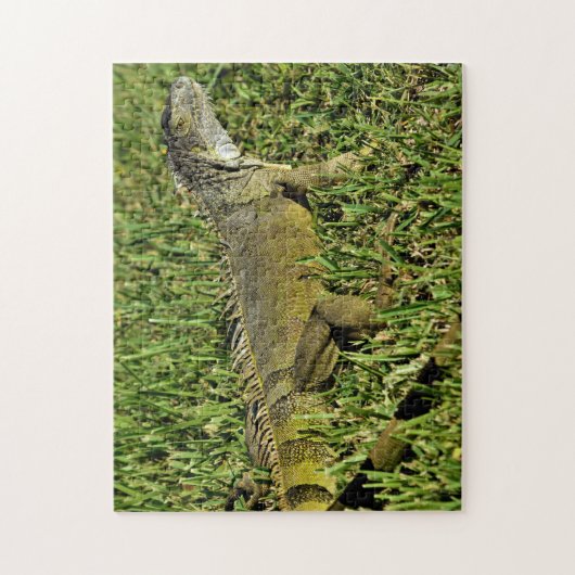 Green Iguana Lizard in Grass Legpuzzel (Verticaal)