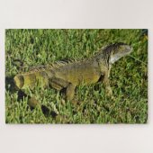 Green Iguana Lizard in Grass Legpuzzel (Horizontaal)