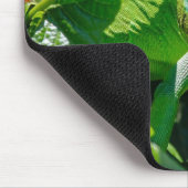 Green Iguana Lizard Muismat (Hoek)