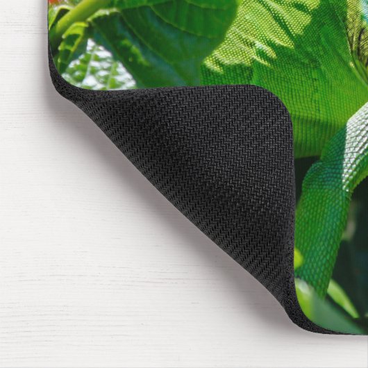 Green Iguana Lizard Muismat (Hoek)