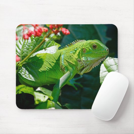 Green Iguana Lizard Muismat (Met muis)