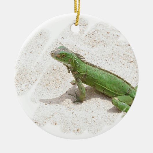 Green Iguana Lizard Ornament (Voorkant)