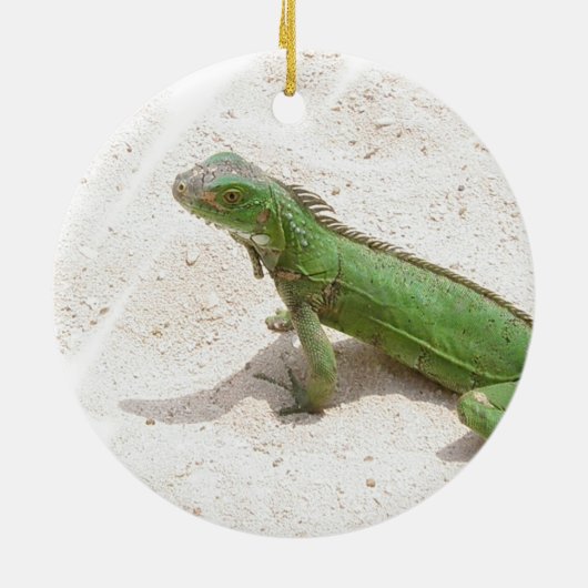 Green Iguana Lizard Ornament (Achterkant)