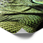 Green Iguana Poster (Hoek)