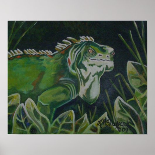 Green Iguana Poster (Voorkant)