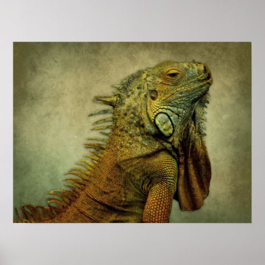 Green Iguana Poster (Voorkant)