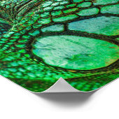 Green Iguana Poster (Hoek)