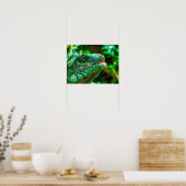 Green Iguana Poster (Keuken)