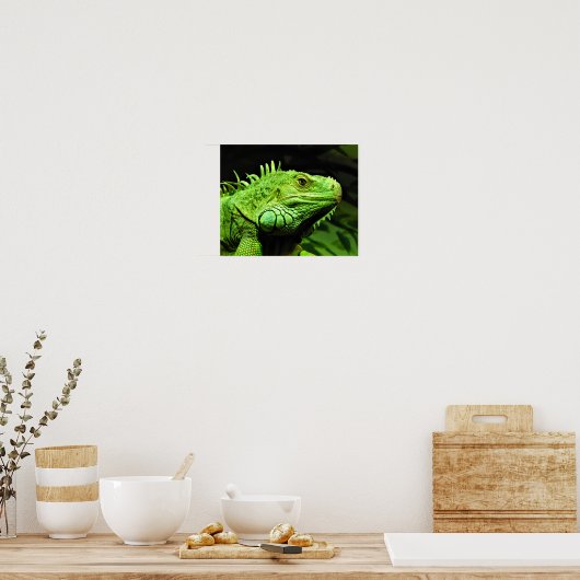 Green Iguana Poster (Keuken)