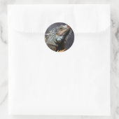 Green Iguana Ronde Sticker (Tas)