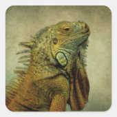 Green Iguana Vierkante Sticker (Voorkant)