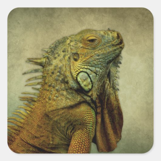 Green Iguana Vierkante Sticker (Voorkant)