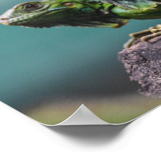 Green Iguanas Poster (Hoek)