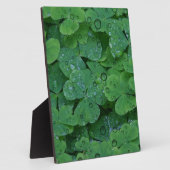 Green Irish Clover Fotoplaat (Zijkant)
