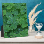 Green Irish Clover Fotoplaat (Zijkant)