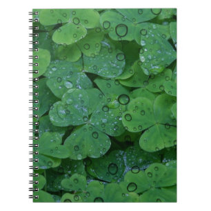 Green Irish Clover Notitieboek
