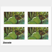 Green Island Coconuts Palm Tree Rechthoekige Sticker (Vel)