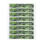 Green Ivy Botanical Print (Vel)