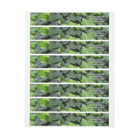 Green Ivy Botanical Print (Vel)