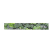 Green Ivy Botanical Print (Individueel)