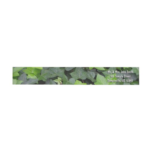 Green Ivy Botanical Print (Individueel)