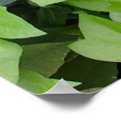 Green Ivy Botanical Print (Hoek)