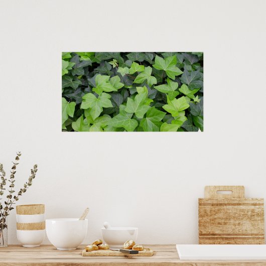 Green Ivy Botanical Print (Keuken)
