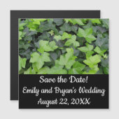 Green Ivy Botanical Print (Voorkant / Achterkant)