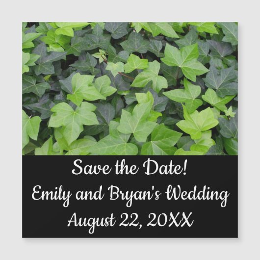 Green Ivy Botanical Print (Voorkant)
