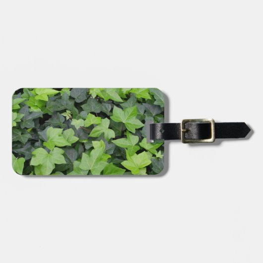 Green Ivy Botanical Print Bagagelabel (Voorkant horizontaal)
