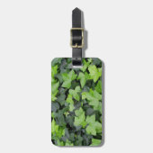Green Ivy Botanical Print Bagagelabel (Voorkant verticaal)