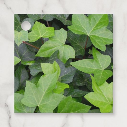 Green Ivy Botanical Print Bedankjes Labels (Voorkant)
