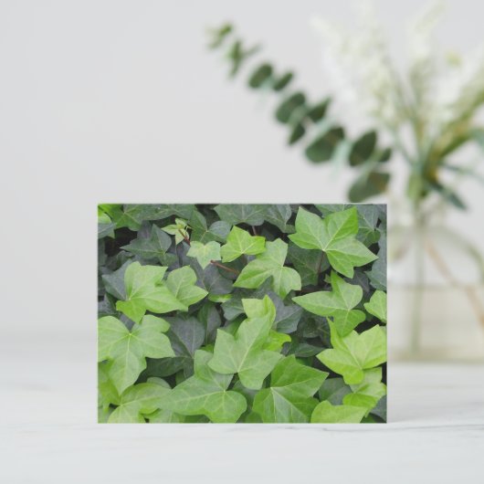 Green Ivy Botanical Print Briefkaart (Staand voorkant)
