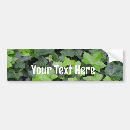 Green Ivy Botanical Print Bumpersticker (Voorkant)