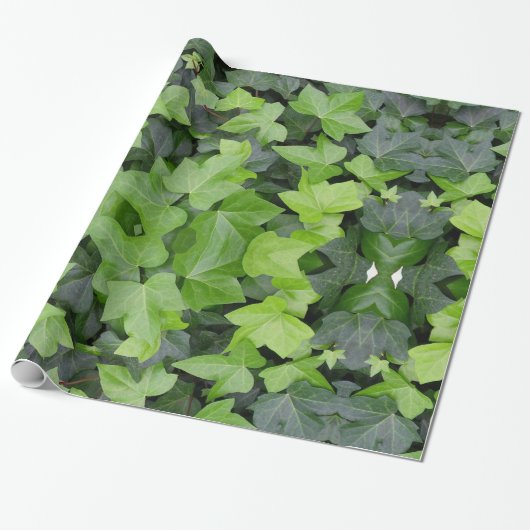 Green Ivy Botanical Print Cadeaupapier (Uitgerold)
