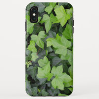 Green Ivy Botanical Print