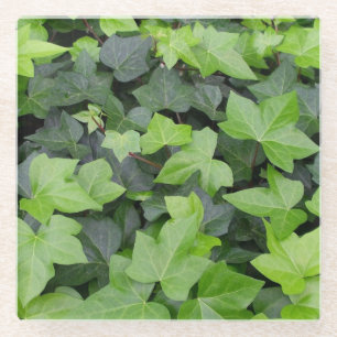 Green Ivy Botanical Print Glazen Onderzetter