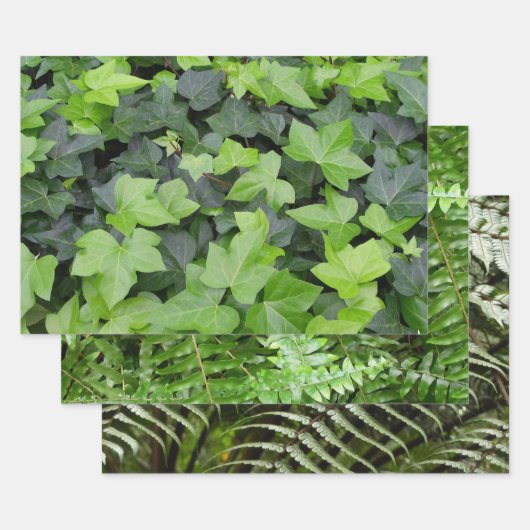 Green Ivy Botanical Print Inpakpapier Vel (Set)