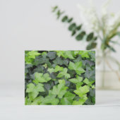 Green Ivy Botanical Print Kaart (Staand voorkant)