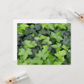 Green Ivy Botanical Print Kaart (Voorkant / Achterkant in situ)