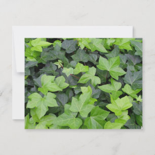 Green Ivy Botanical Print Kaart