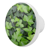 Green Ivy Botanical Print Keramische Knop (Rechts)