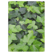 Green Ivy Botanical Print Klembord (Achterkant)