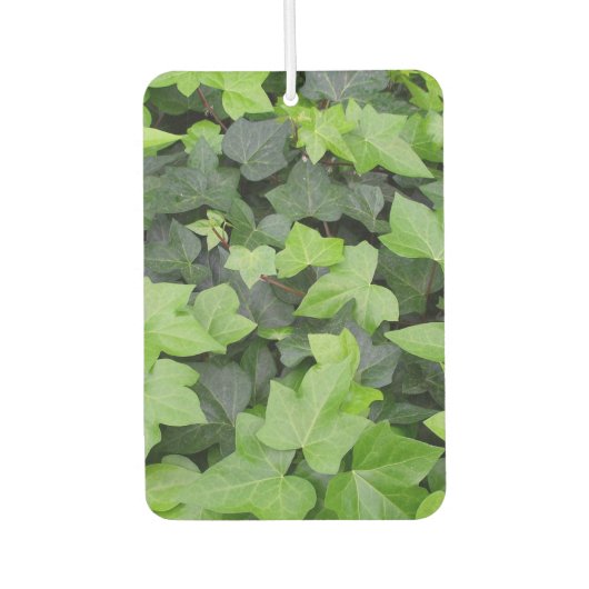 Green Ivy Botanical Print Luchtverfrisser (Voorkant)