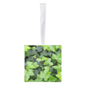 Green Ivy Botanical Print Ornament (Rechts)
