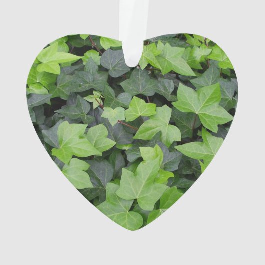 Green Ivy Botanical Print Ornament (achterkant)