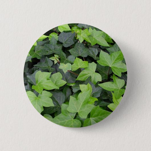 Green Ivy Botanical Print Ronde Button 5,7 Cm (Voorkant)
