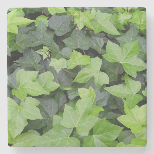 Green Ivy Botanical Print Stenen Onderzetter (Voorkant)